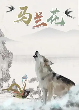 欧美高清狂热视频60一70