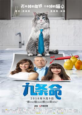977精品视频在线观看