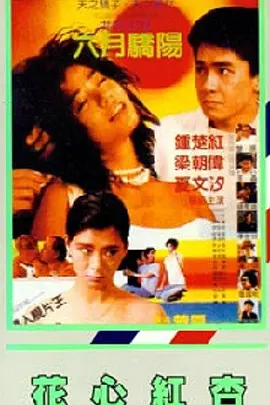 免费观看一级特黄三大片视频