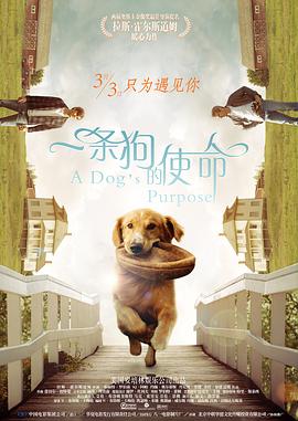 亚洲怡红院av