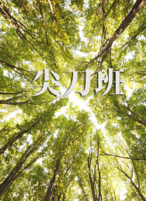一道本在线免费视频