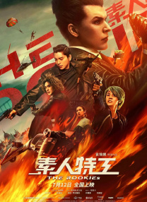 国产精品视频免费